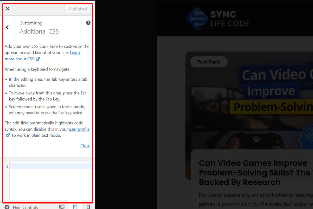 Custome Css Wordpres Image 2